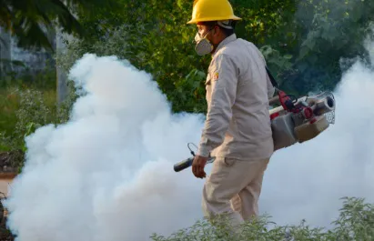 fumigacion