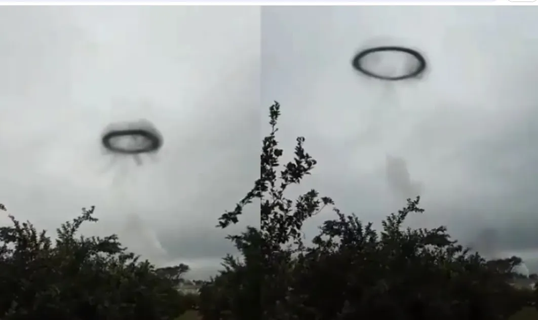 anillonegrovolandotucuman