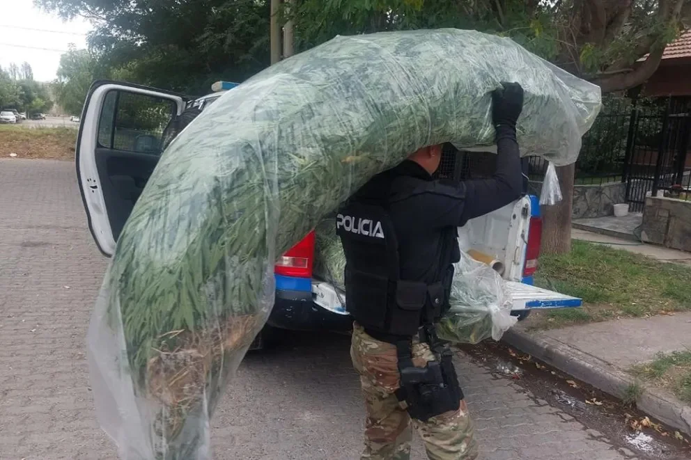 WhatsApp Image 2026-03-16 at 13.25.00