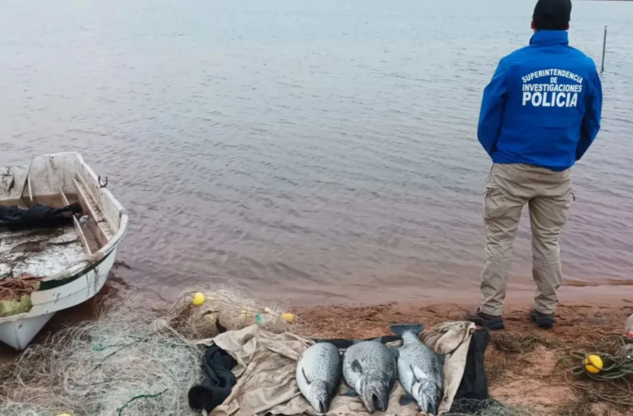pesca furtiva