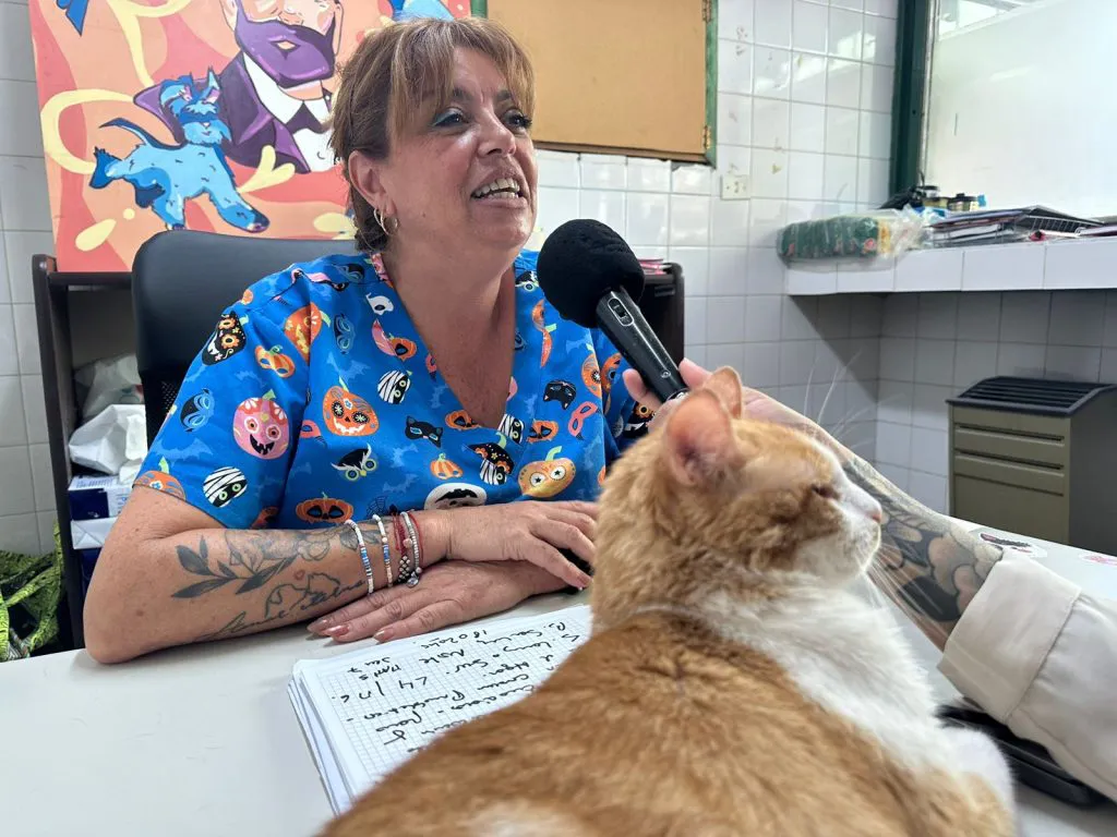 WhatsApp-Image-2024-03-01-at-12.35.55-1024x768 (1)