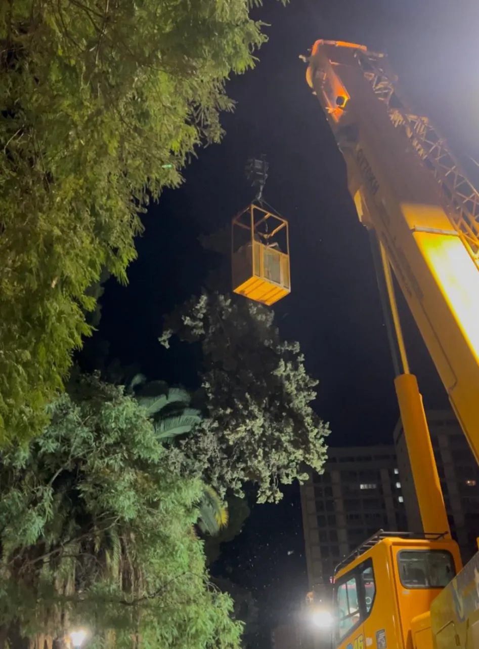 Screenshot_20250320-173730.Chrome