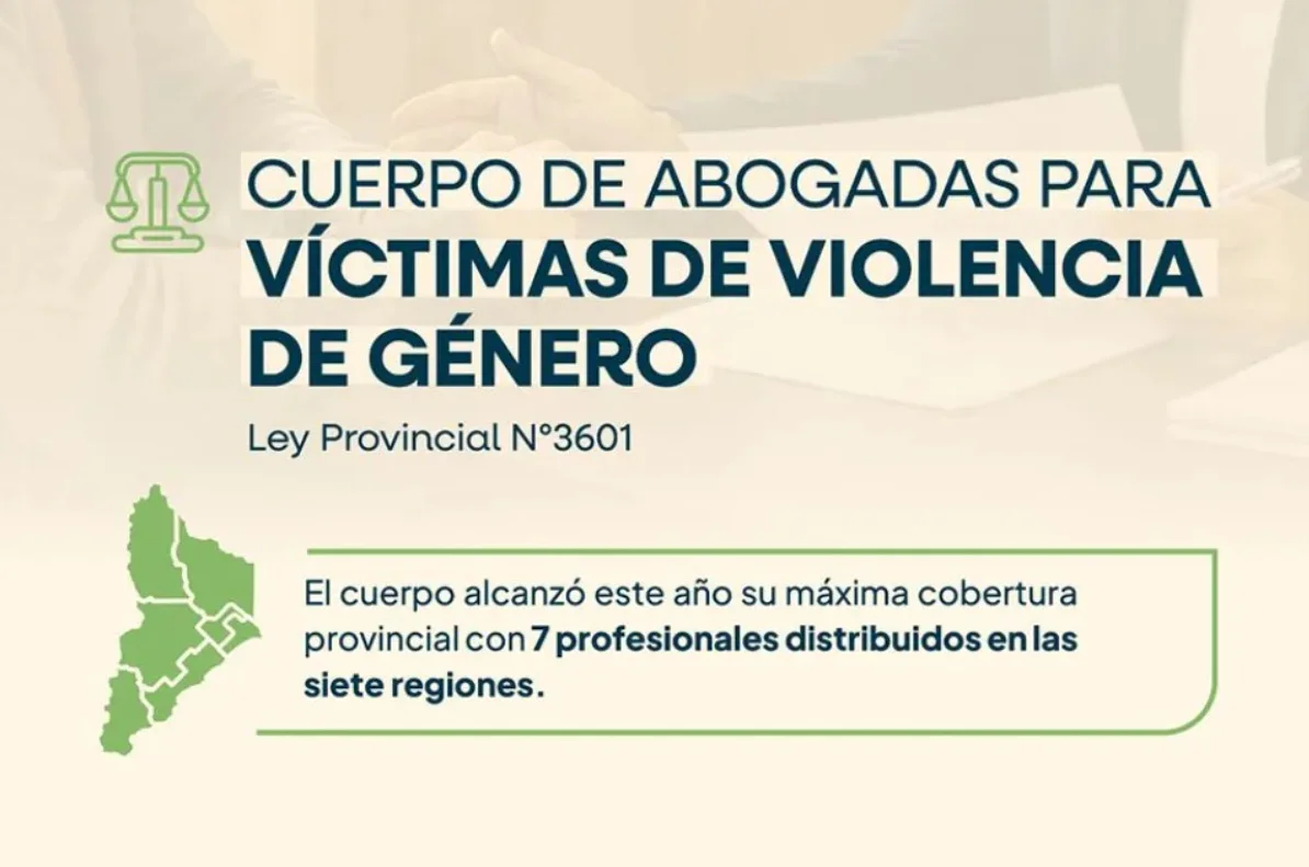 cuerpo de abogadas