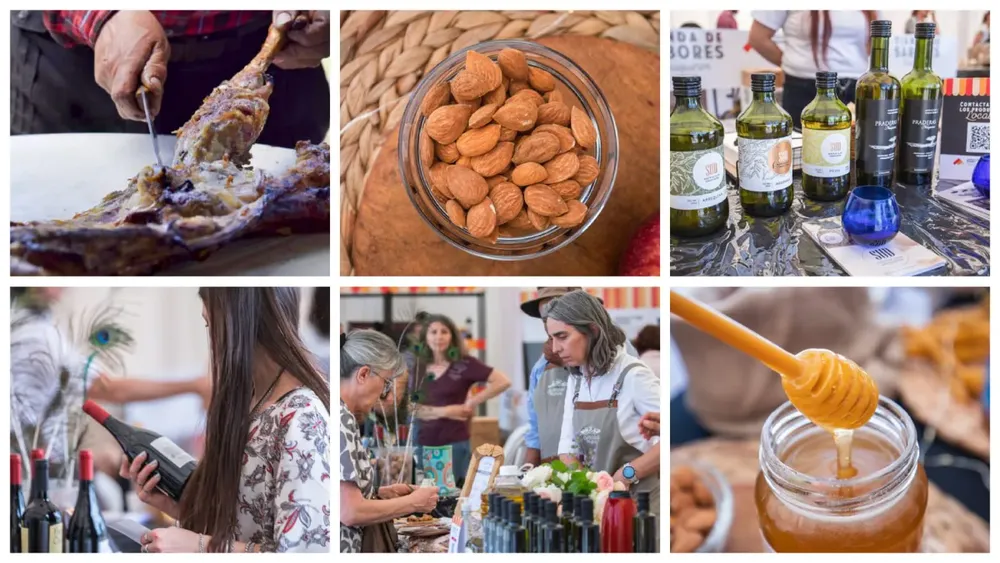 6cdc9231-6e96-49f2-9f32-d59b122d6000