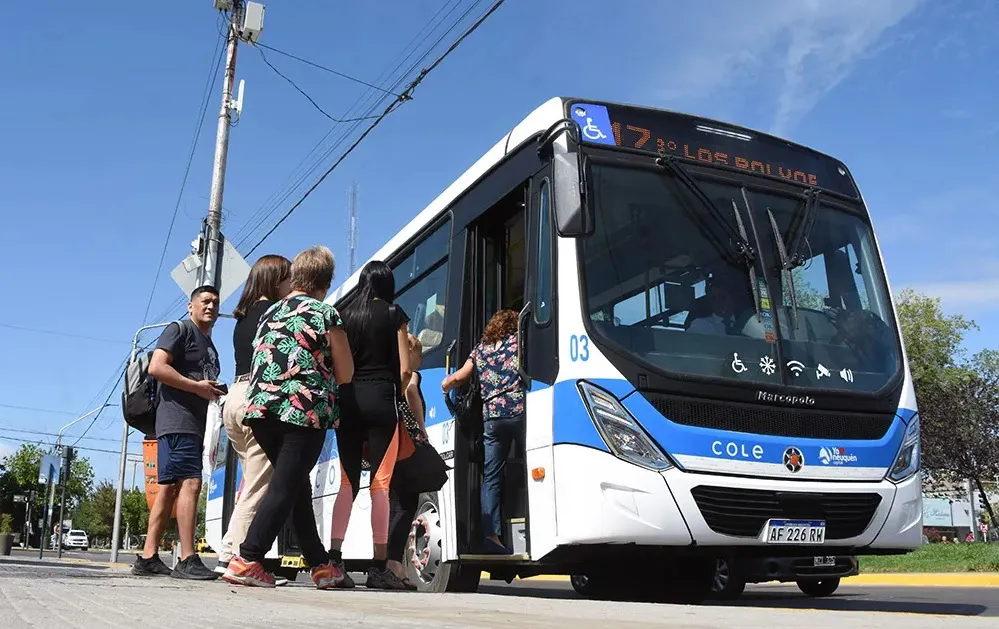 cole transporte colectivo
