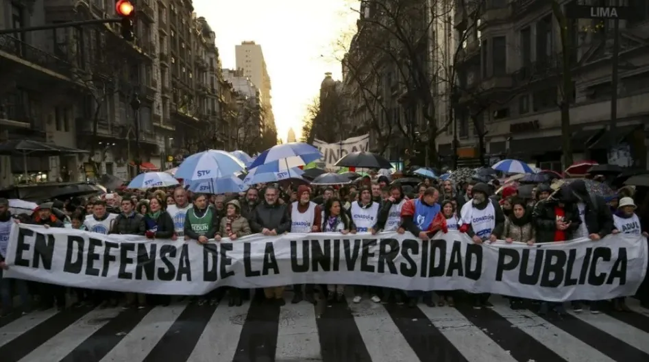 docentes universitarios