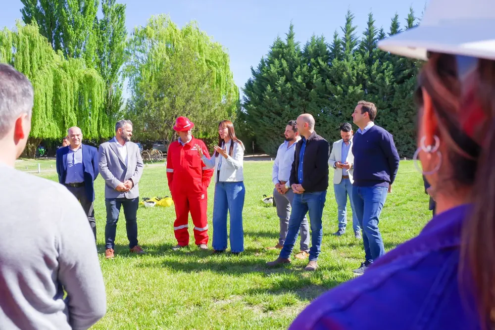 WhatsApp Image 2025-10-08 at 15.56.44