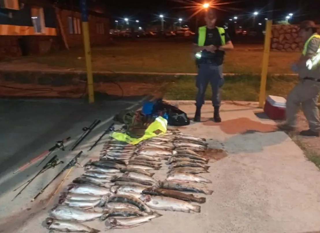 pesca furtiva 1