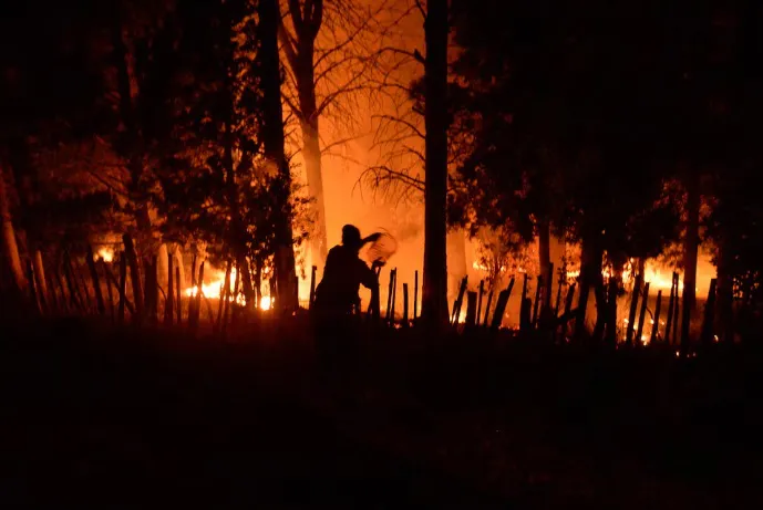 incendio bolson 1