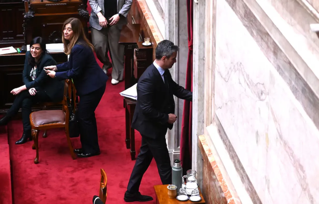 senado 8