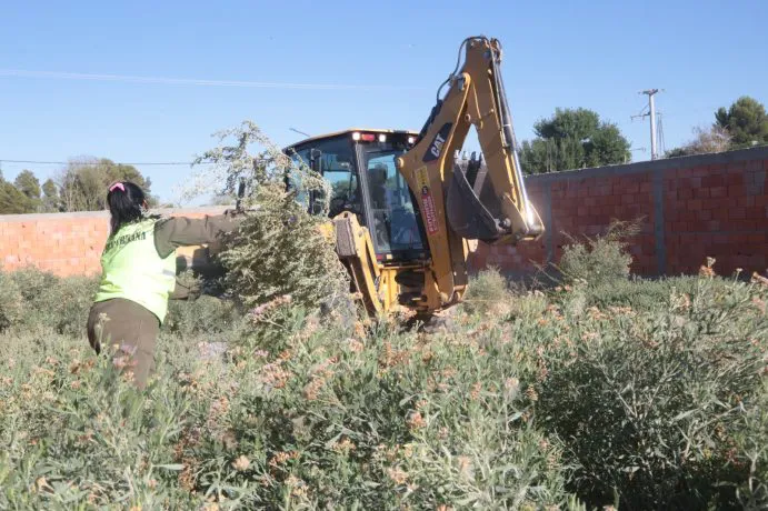 WhatsApp-Image-2025-02-25-at-10.10.56-1-691x460