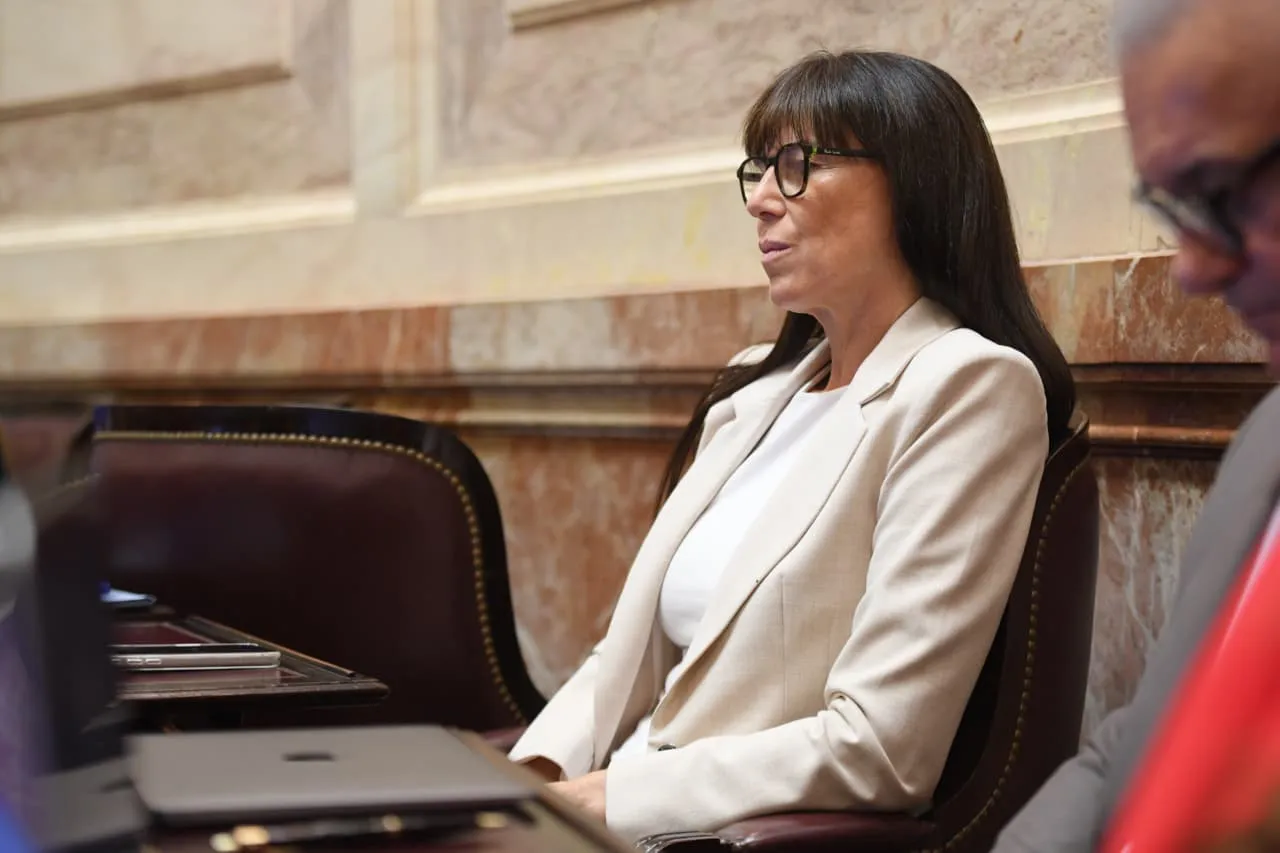 WhatsApp Image 2026-02-11 at 22.09.39